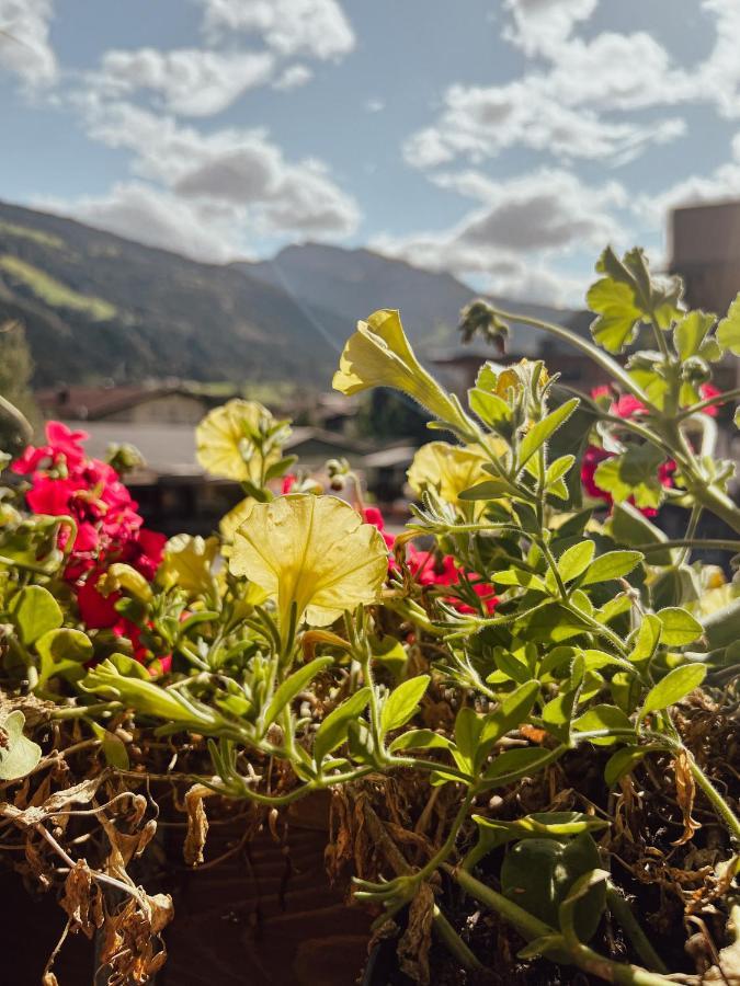 Apartment Goldene Mitte Aschau Im Zillertal Exterior foto